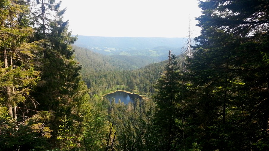 Schurmsee-Blick