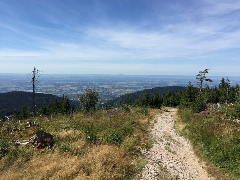 back to nature hiking